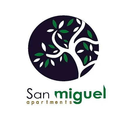 San Miguel Nº1
