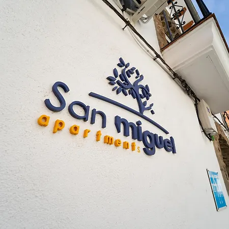 San Miguel Nº1 *