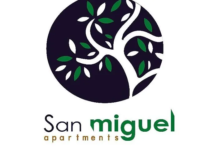 San Miguel Nº1